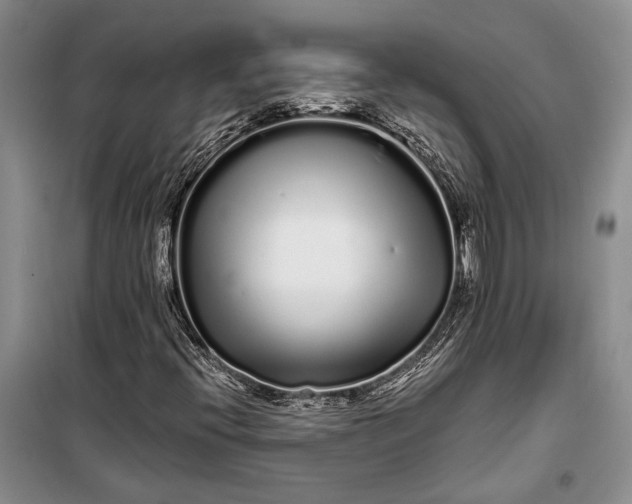 X0000100201396200806131219