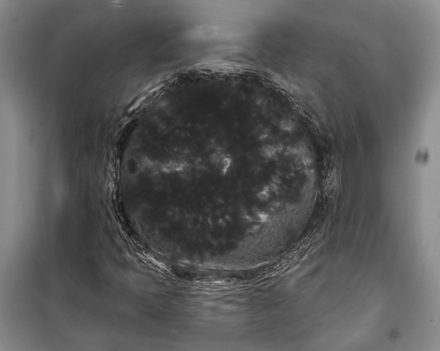 X0000100201397200806131219