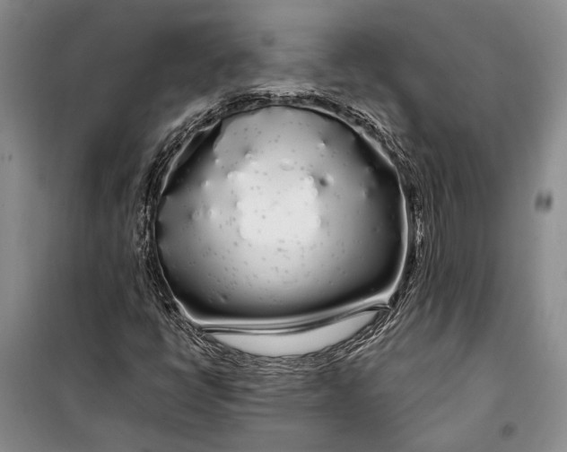 X0000100201398200806131219