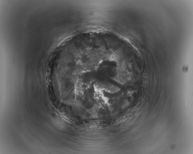 X0000100201399200806131219