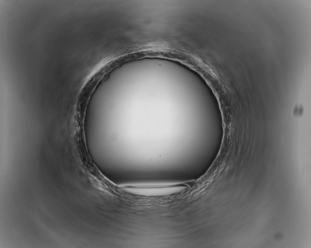 X0000100201400200806131219