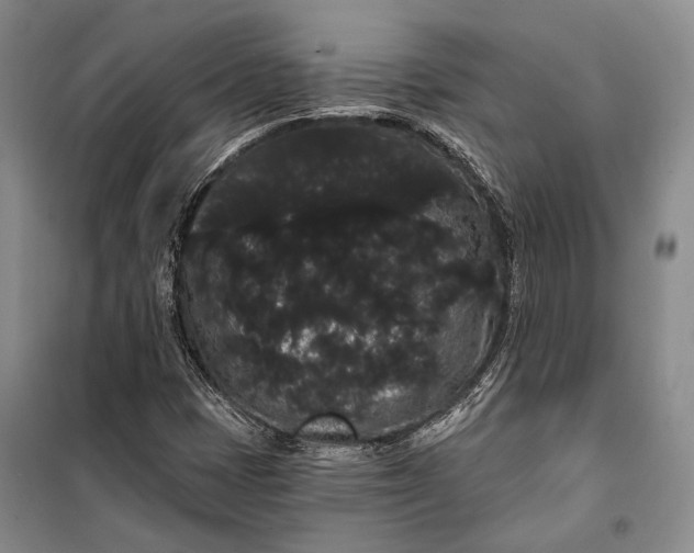 X0000100201401200806131219