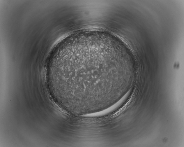 X0000100201402200806131219