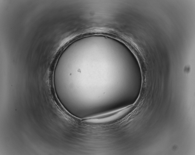 X0000100201404200806131219