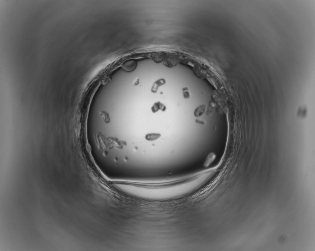 X0000100201406200806131219