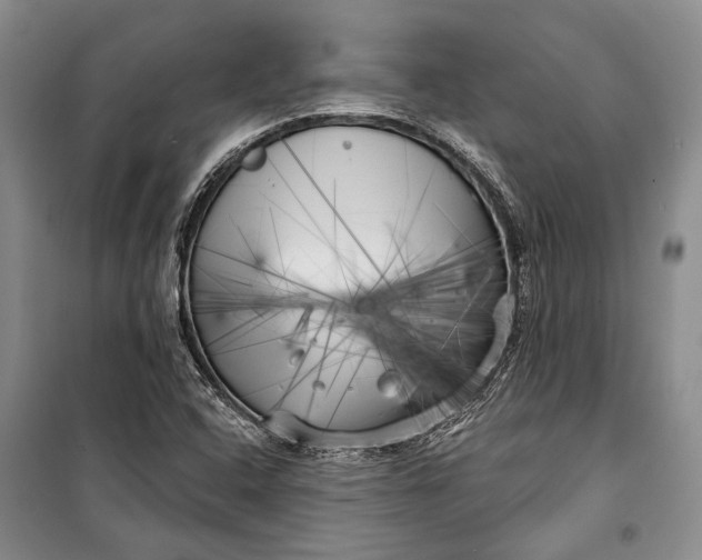 X0000100201408200806131219