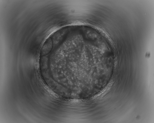 X0000100201409200806131219