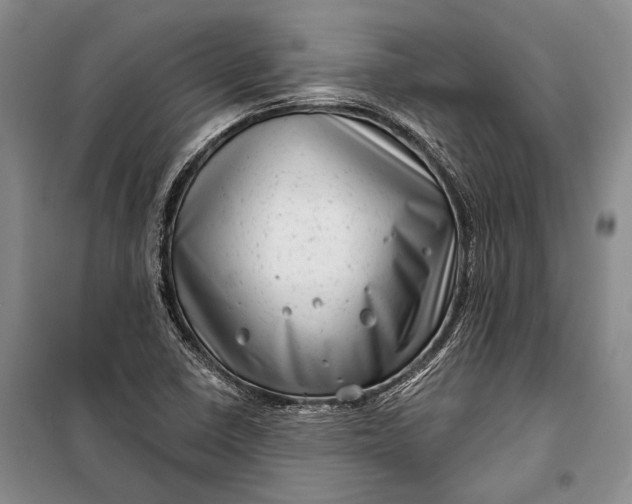 X0000100201410200806131219