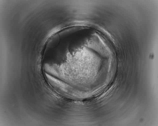 X0000100201411200806131219