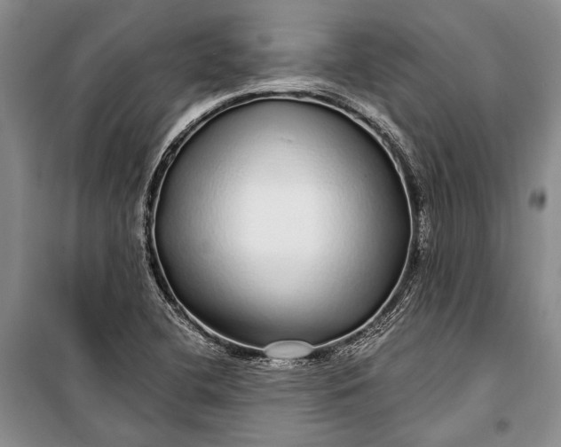 X0000100201412200806131219