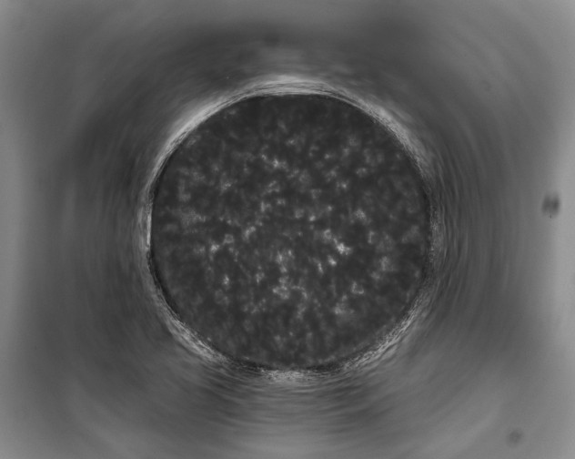 X0000100201413200806131219