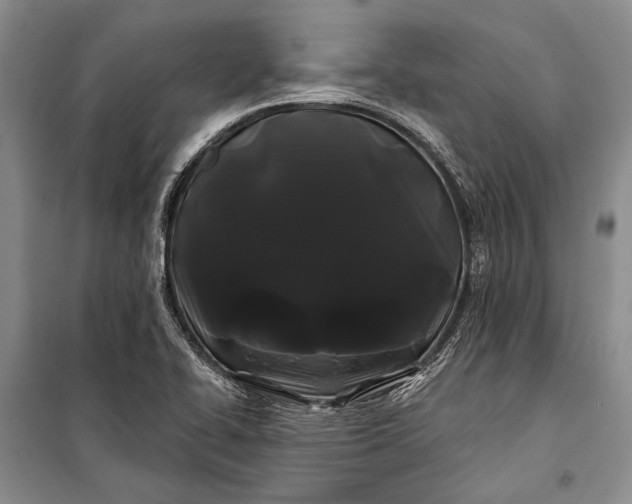 X0000100201414200806131219