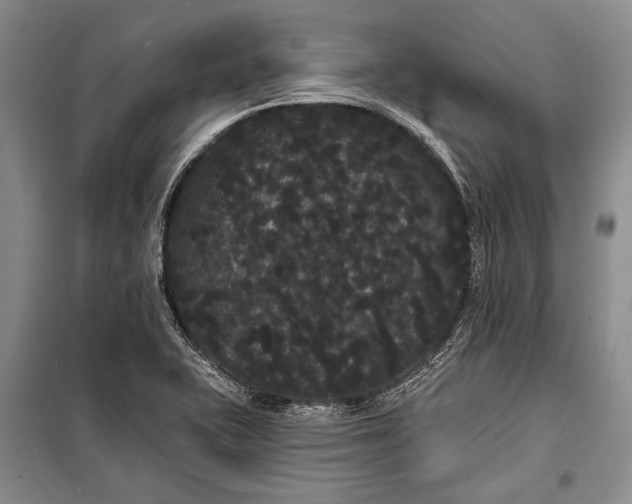 X0000100201415200806131219