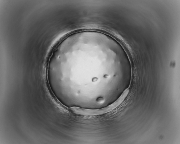 X0000100201416200806131219