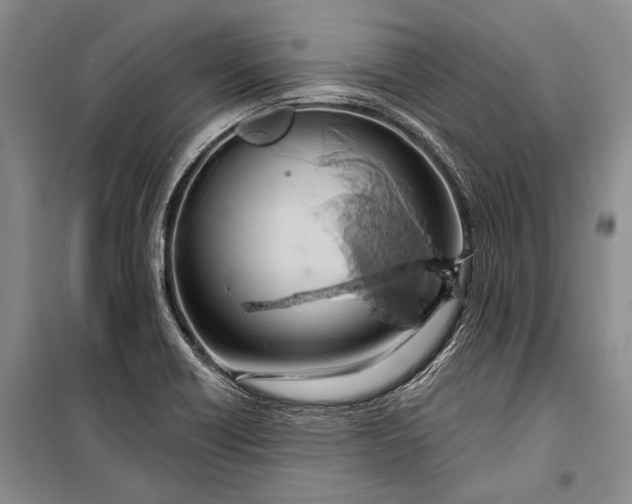 X0000100201418200806131219