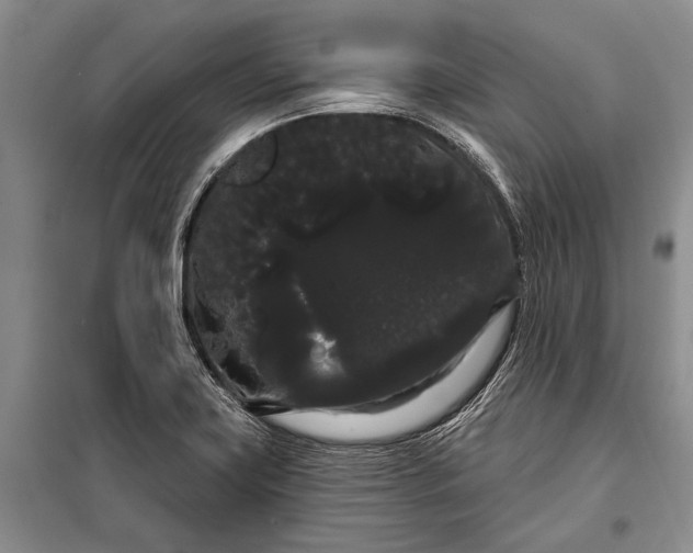 X0000100201419200806131219