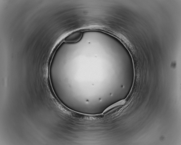 X0000100201420200806131219