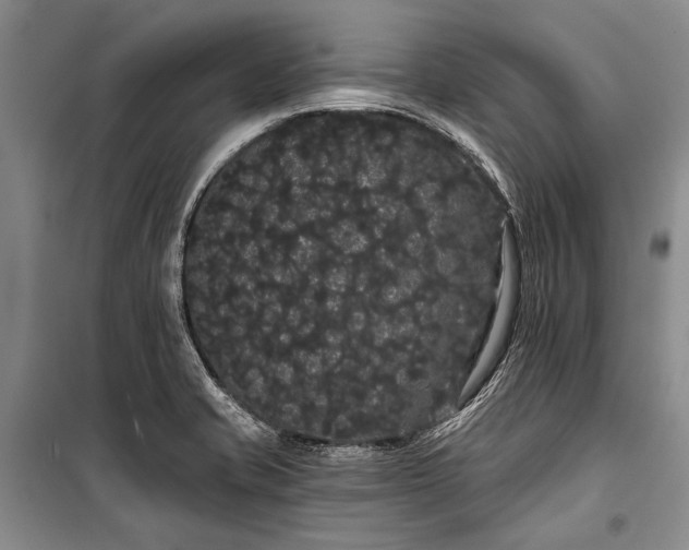 X0000100201421200806131219