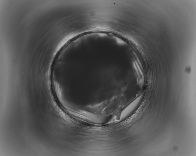 X0000100201422200806131219