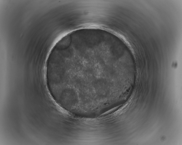 X0000100201424200806131219