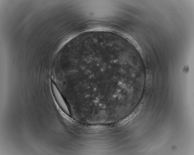 X0000100201425200806131219