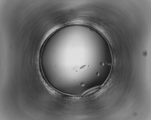 X0000100201426200806131219