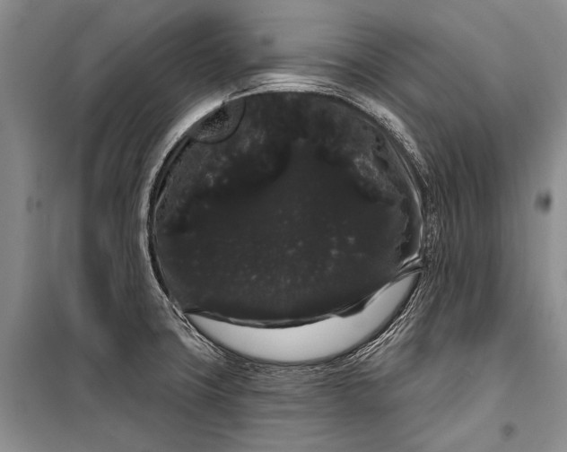 X0000100201427200806131219