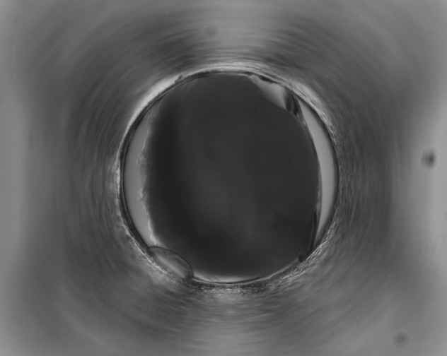 X0000100201428200806131219