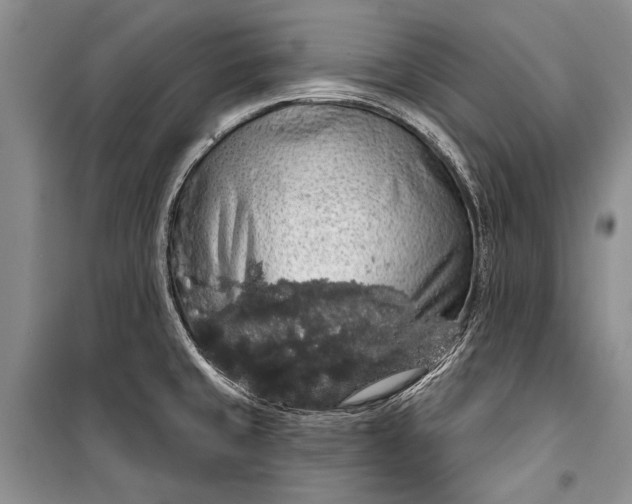 X0000100201429200806131220