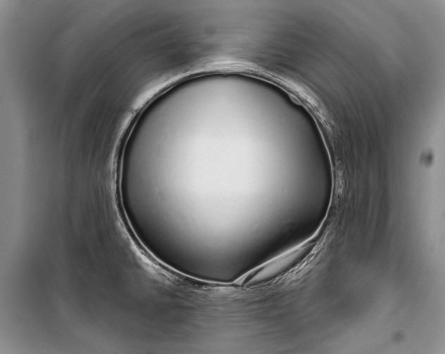 X0000100201430200806131220