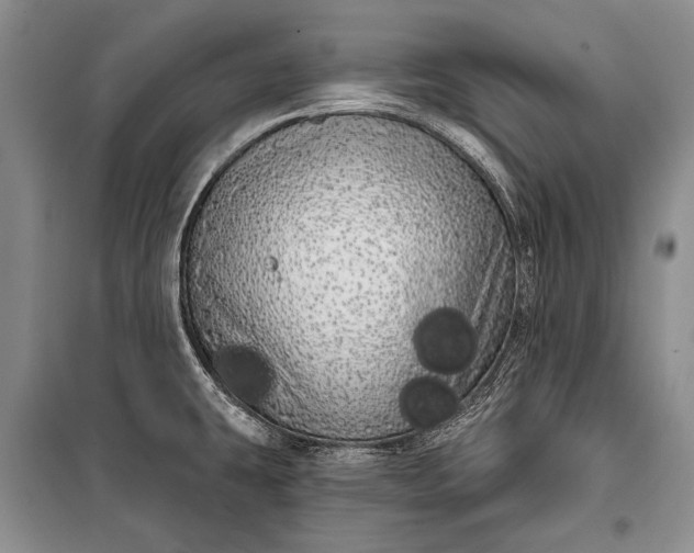 X0000100201431200806131220