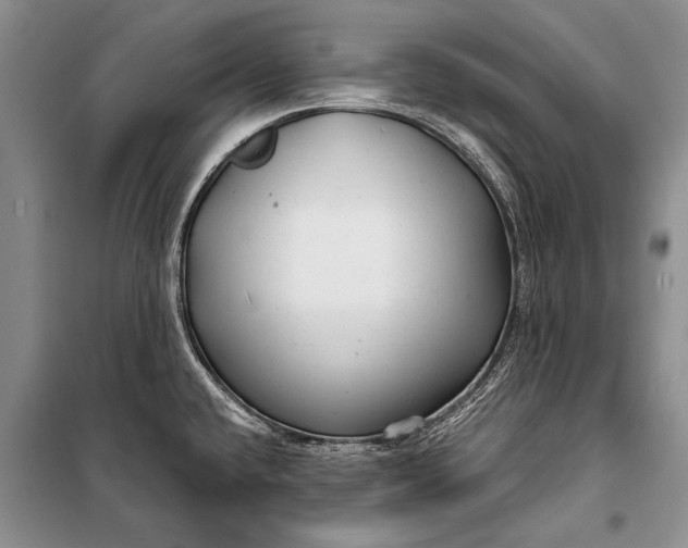 X0000100201432200806131220