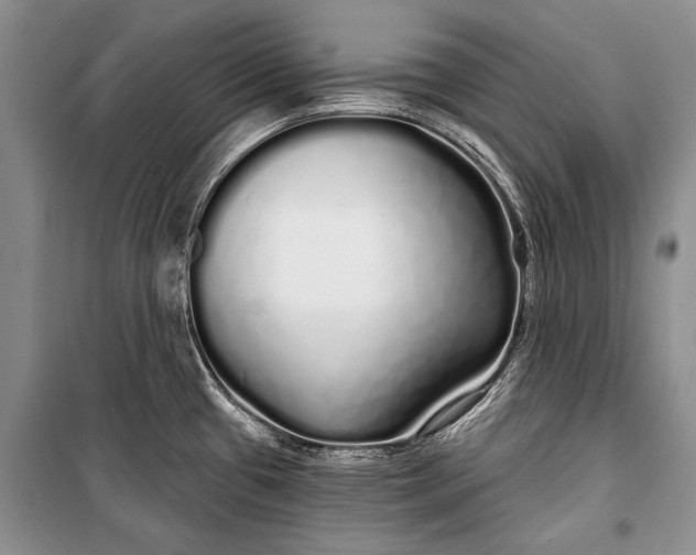 X0000100201433200806131220