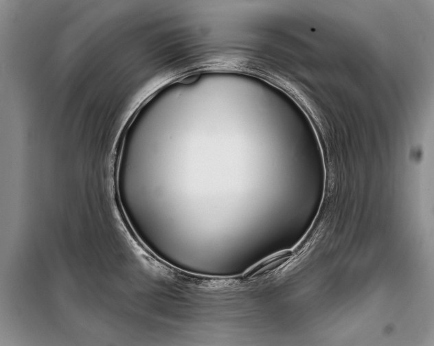 X0000100201434200806131220