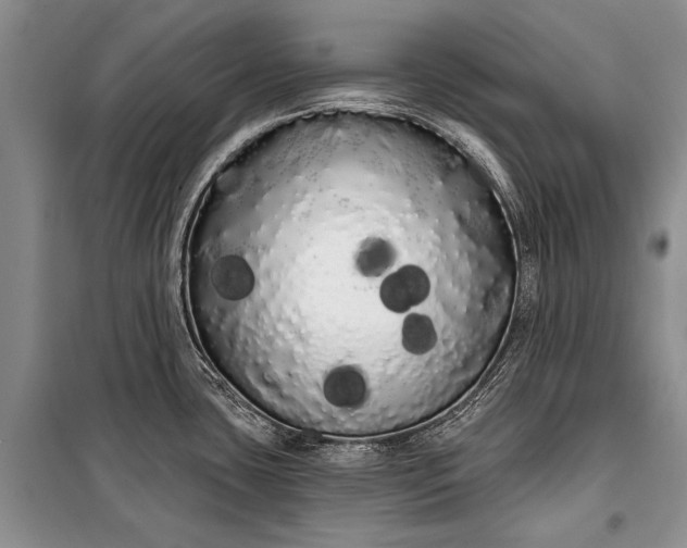 X0000100201435200806131220