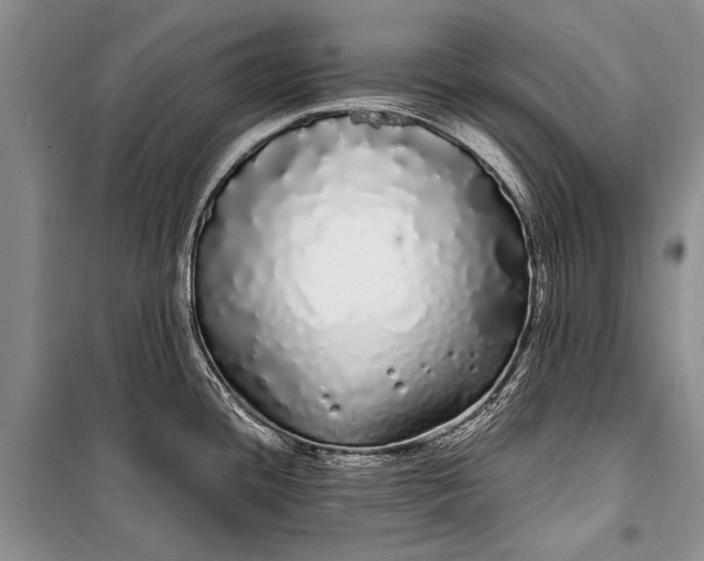 X0000100201436200806131220