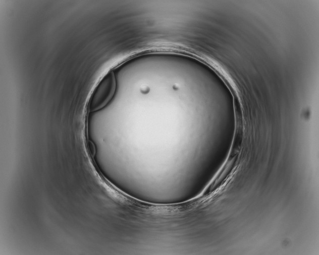 X0000100201437200806131220