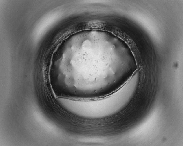 X0000100201438200806131220