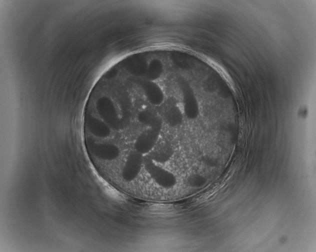 X0000100201439200806131220