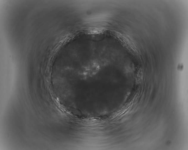 X0000100201441200806131219