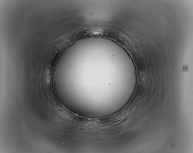 X0000100201442200806131219