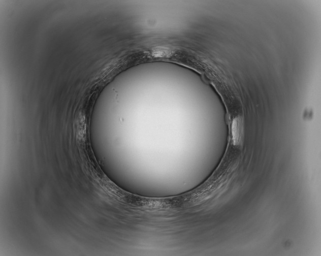 X0000100201443200806131219