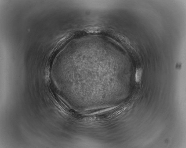 X0000100201444200806131219