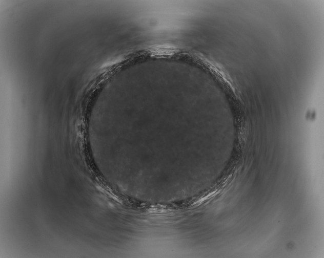 X0000100201445200806131219