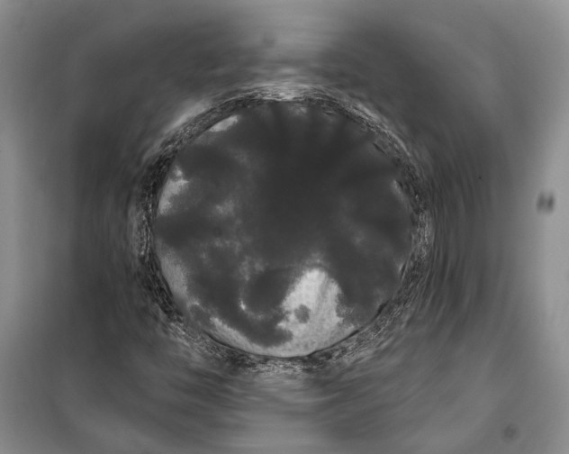 X0000100201446200806131219