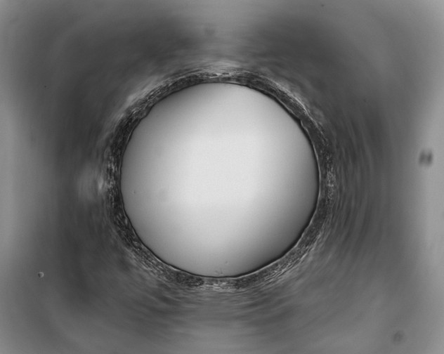 X0000100201447200806131219