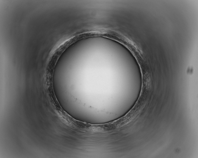 X0000100201448200806131219