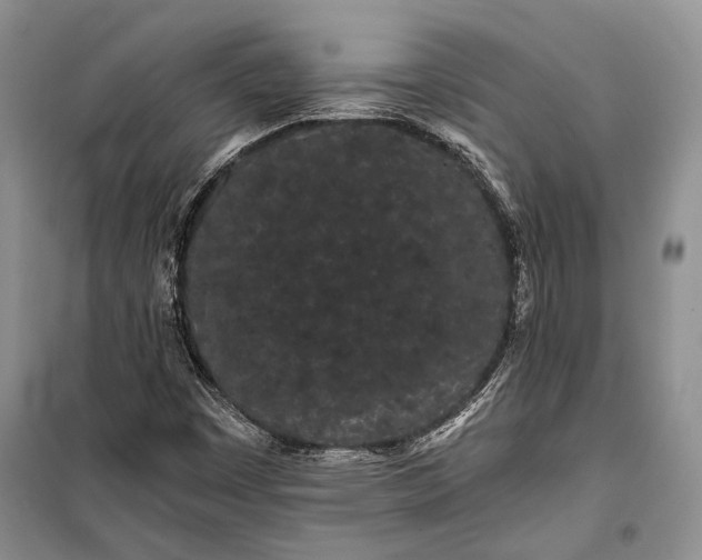 X0000100201449200806131219