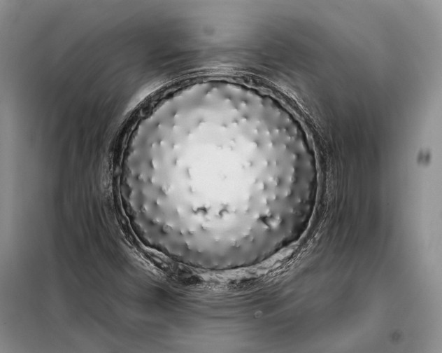 X0000100201450200806131219