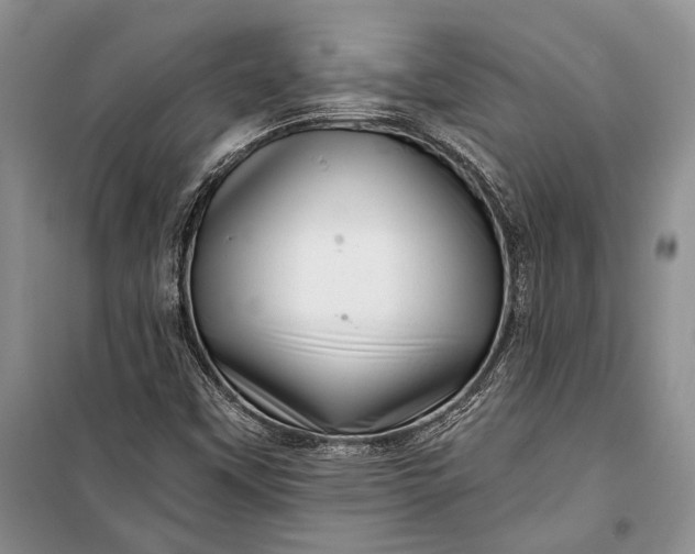 X0000100201451200806131219